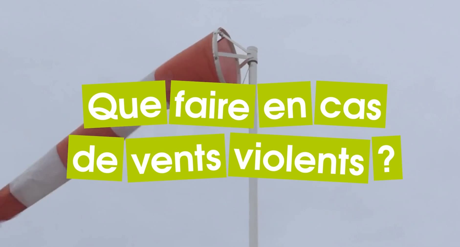 Mes réflexes vigilance